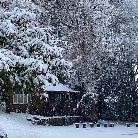 Willow Lodge Dublin