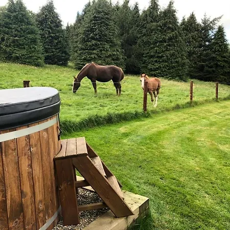 Willow Lodge Dublino